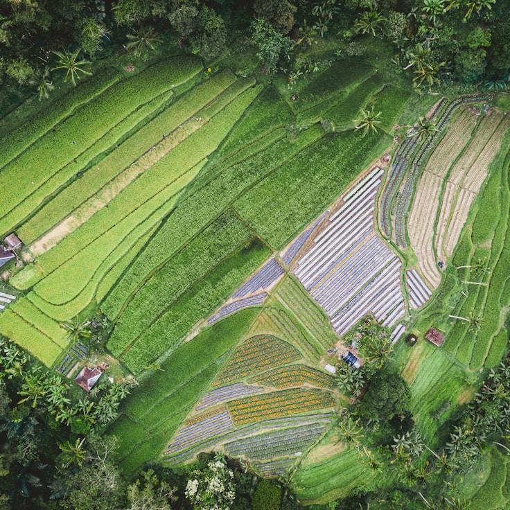 Entertainment zone at night in Spain